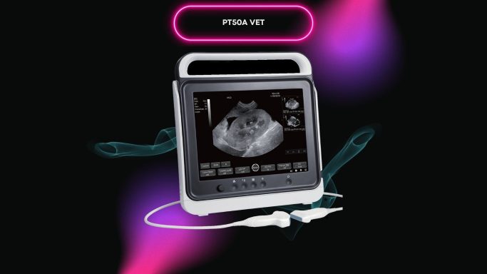 PT50A Vet